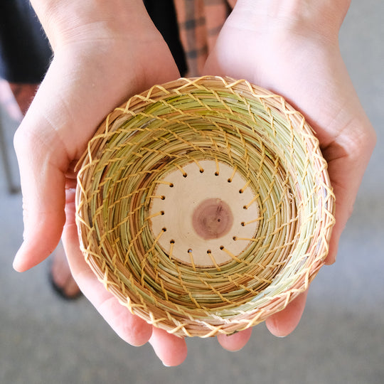 Intro to Pine Needle Basketry (November 1, 1-5pm • Lafayette, CO)
